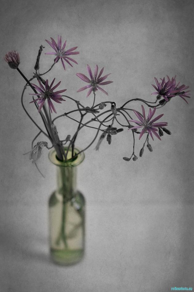 Ikebana