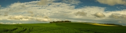 Grand angle sur la Champagne