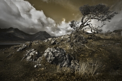 SG564 2013 04 26 'The Tree' at Torrin - Isle of Skye (Toned Version)