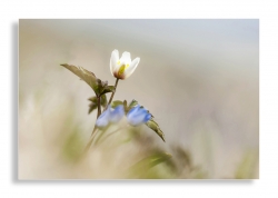 Photo inscription n°2