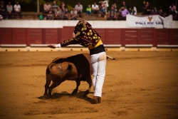 "Art et Courage" la course landaise..reportage x 20
