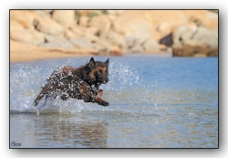 Marche sur l'eau!