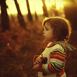 Golden forest
