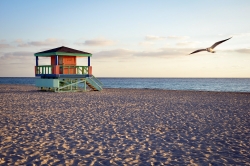 Wake up at SOBE