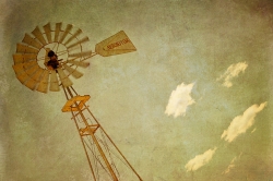 The answer is blowin'in the wind.
