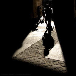Dans l'ombre du Louvre