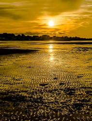 Soleil d'or