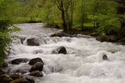 série cours d'eau filé à 1/20 s (suite)