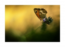 Derniers instants