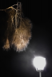 Luminothérapie