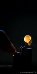 Série Briquet