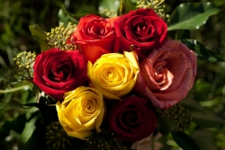 Le bouquet du Dimanche