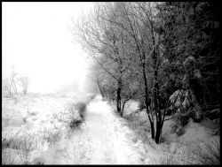 Photo inscription n°3