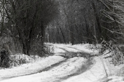 chemin qui ne mène nulle part