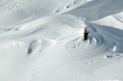 Neige à la crème !!!