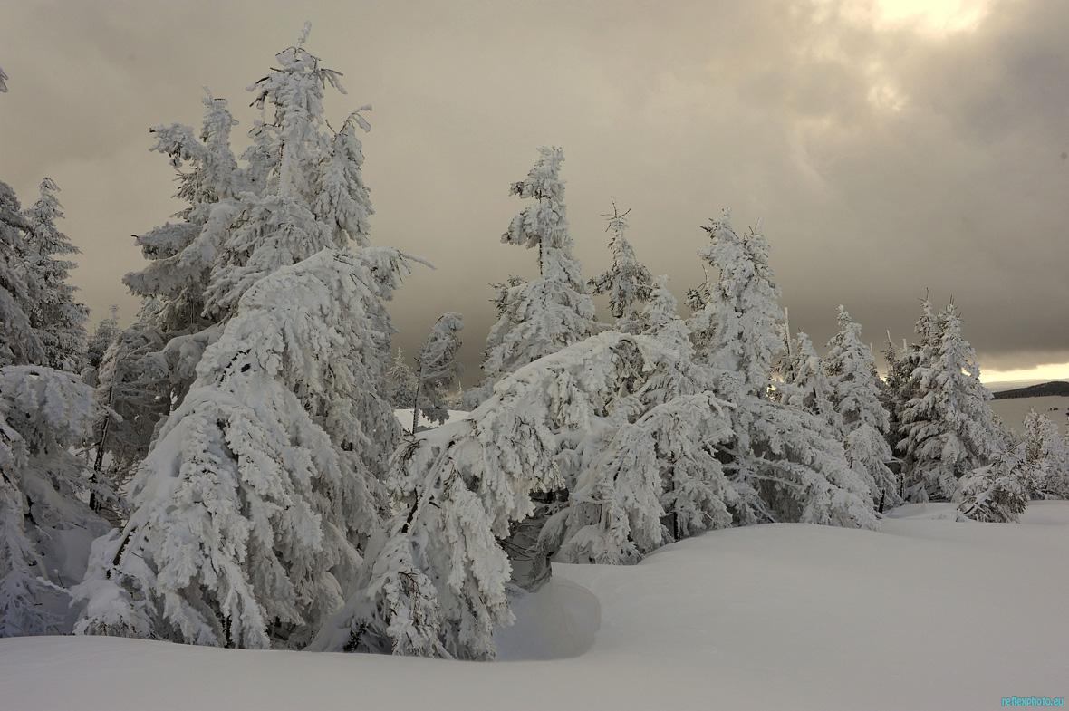 Neige deans l'Ardèche