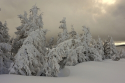 Neige deans l'Ardèche