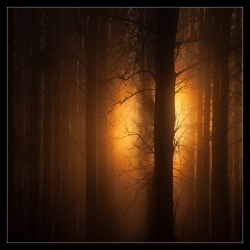 Encore un matin .....