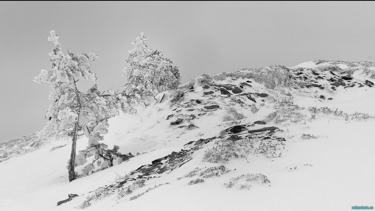 Ici, l'hiver est rude, la neige présente, persistante............