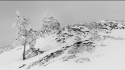 Ici, l'hiver est rude, la neige présente, persistante............
