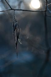 Soleil d'hiver, 2