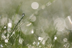 Photo inscription n°3