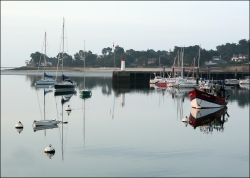 Matin limpide