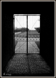 vers l'inconnu