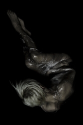 Zygote In vivo