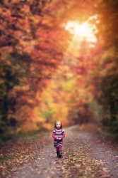 Sur le chemin du retour