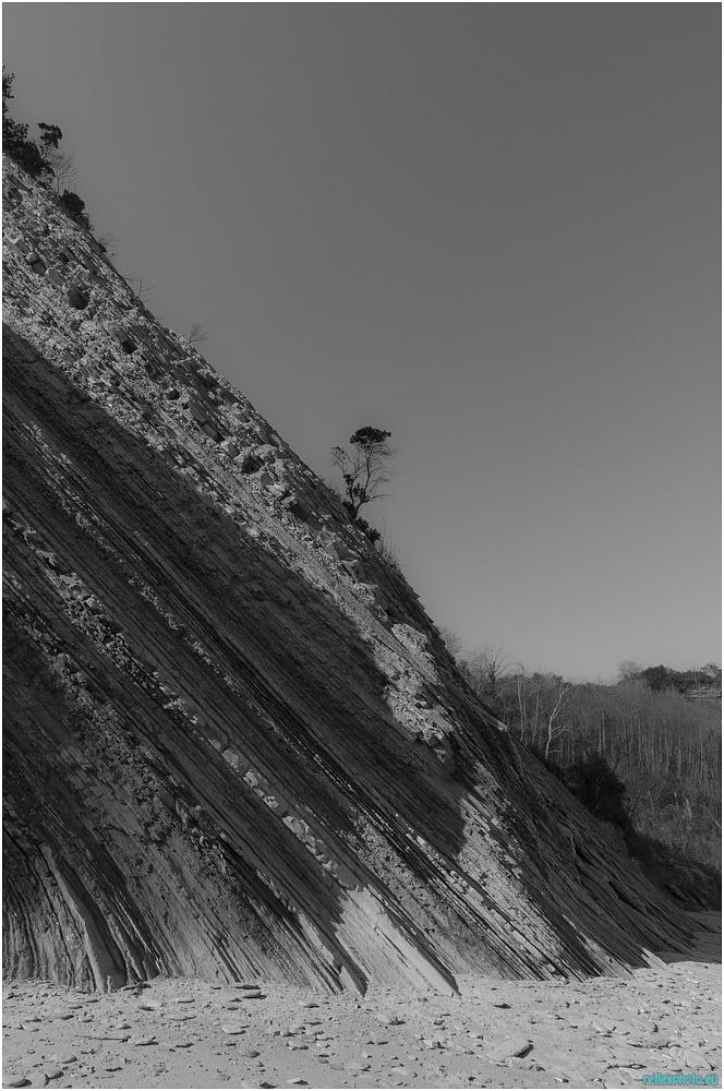 le livre de la terre