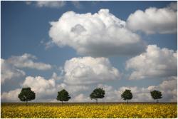 Ciel picard