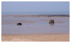 Couleurs  de la côte Normande