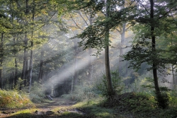 Photo inscription n°2