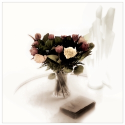Roses, tulipes, et fougères ...