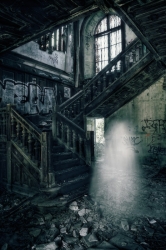Ectoplasme
