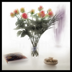 Les roses du samedi ...