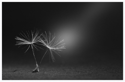 Photo inscription n°2