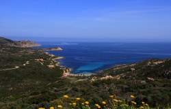 Le phare de la Revellata
