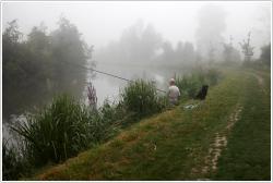 Le pêcheur et son chien