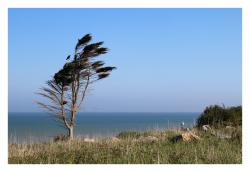 Cache-cache au bord de la falaise