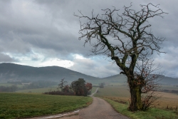 Vers le Mont Pilat