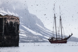 svalbard 4- la goelette