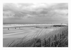 Zandwort, mer du Nord - ambiance ...