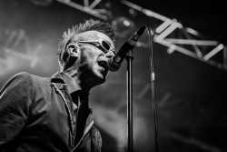 Toy dolls