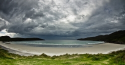 Fish bay