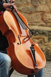 Violoncelle