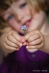 Celeste et la fleur de ciboulette