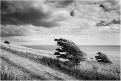 White Cliffs
