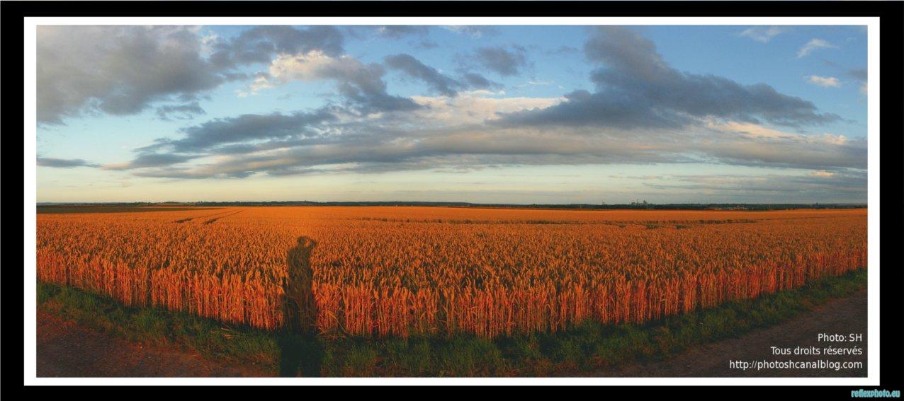 Photo inscription n°1